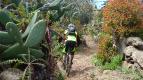 Embarquez en Go Pro sur l'île de La Palma avec Bikehorizon